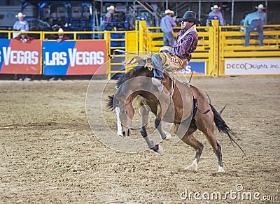 Helldorado days rodeo Editorial Stock Photo