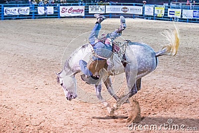 Helldorado days Rodeo Editorial Stock Photo