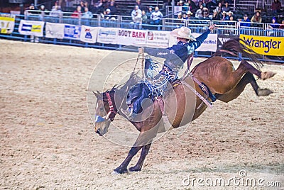 Helldorado days Rodeo Editorial Stock Photo