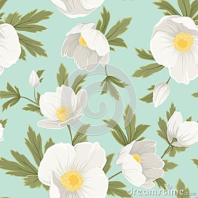 Hellebore anemone christmas rose white yellow Vector Illustration