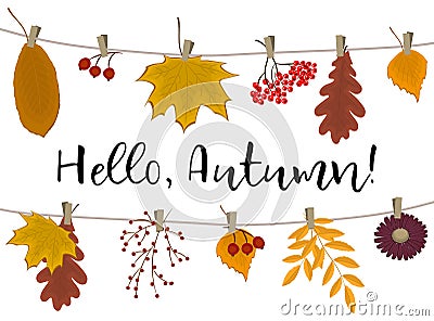 Hello Autumn concept. Autumn leaves, flower and berries hang on the clotheslines Vector Illustration