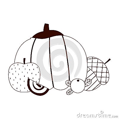 Hello autumn, fresh pumpkin apple acorn berry and pine cone cartoon white background line style Vector Illustration