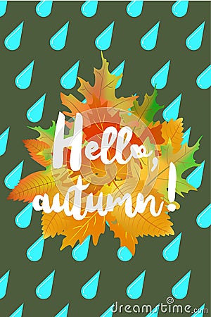 Hello autumn poster with drops of rain and fallen leaves on green background. Vector Illustration