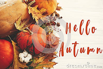 Hello Autumn text, fall greeting sign on pumpkins with fall leaves, cotton, cinnamon, anise, acorns, nuts, berries, autumn flowers Stock Photo