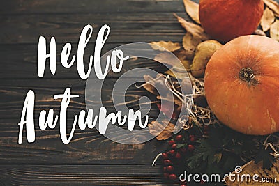 Hello Autumn Text. Hello Fall sign on pumpkin, autumn vegetables Stock Photo