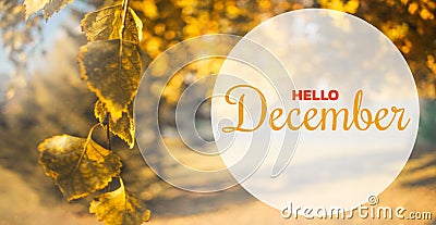 Hello December autumn composition. Yellow and orange leaves on sky background Stock Photo