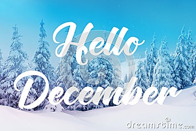 Hello December Stock Photo