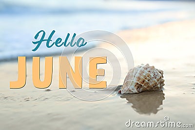 Hello June. Beautiful seashell on sandy beach Stock Photo
