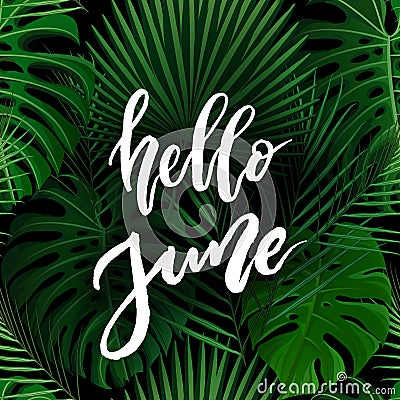 Hello June brush lettering. Vector Illustration