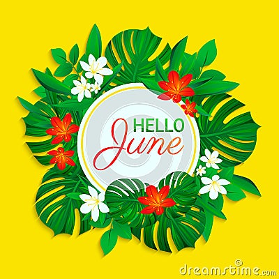 Hello June card. Summer tropic design. Exotic leaves, flowers. simple text. Vector background with round frame. Colored Vector Illustration