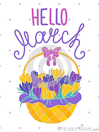 Hello march, greeting card with crocuses in a basket Vector Illustration