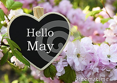 Hello May greeting card with decorative heart and pink spring flowers.Springtime concept Stock Photo