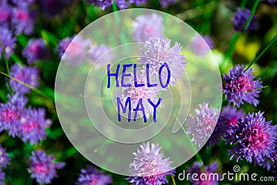 Hello May, message with Beautiful nature scene Stock Photo