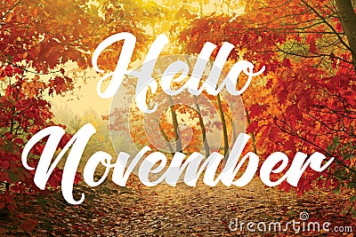 Hello November Stock Photo