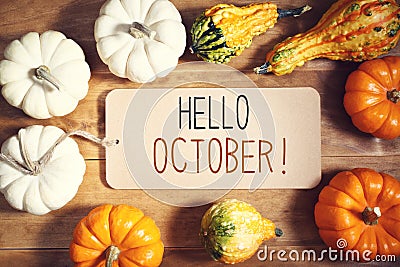 Hello October message with collection of pumpkins Stock Photo