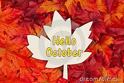 Hello October text on wood maple leaf with fall leaves for the fall season Stock Photo