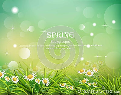 Hello spring background with chamomile flowers Vector Vector Illustration