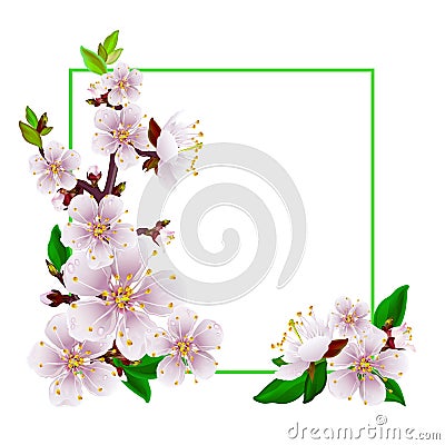 Hello spring Vector Illustration