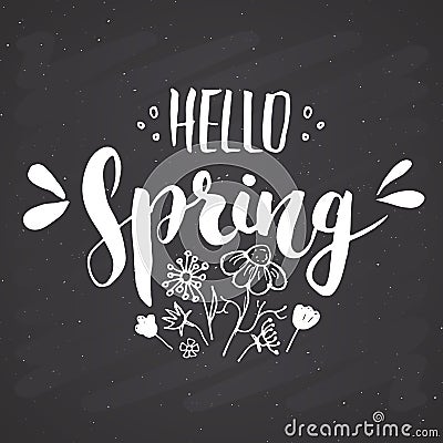 Hello Spring Calligraphy lettering handwritten sign, Hand drawn grunge calligraphic text. Vector illustration on chalkboard Vector Illustration