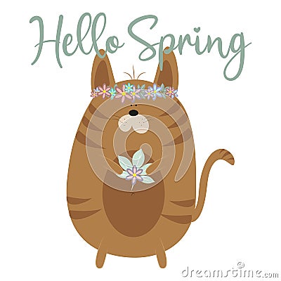 Hello Spring calligraphy text, with cute brown cat. Vector Illustration