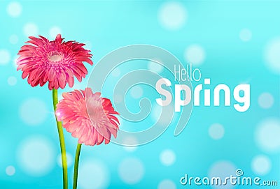 Hello Spring pink daisy flowers greeting card Vector Illustration