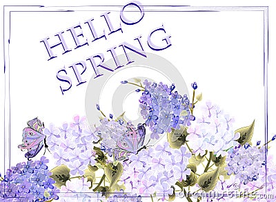 Hello spring greeting violet card with lilac flowers Vector Illustration