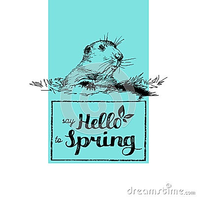 Hello Spring hand lettering. Vector Groundhog Day sketched illustration February 2 greeting card, poster etc. Vector Illustration