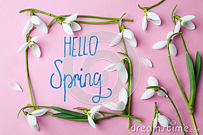 Hello spring handwritten note with snowdrops Stock Photo