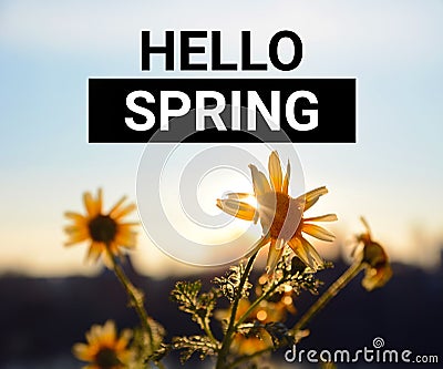 Hello Spring. Inspirational motivating quote on a sunrise background Stock Photo