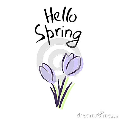 Hello Spring Lettering. Cute lilac flowers. sketch. crocus Cartoon Illustration