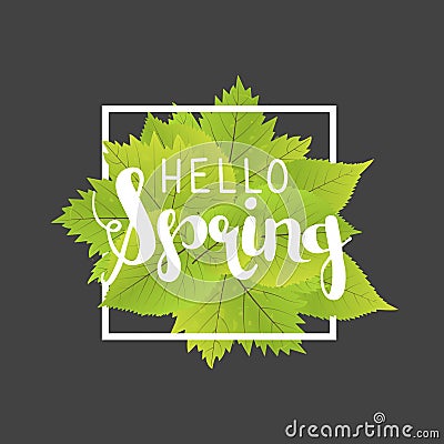 Hello spring. Lettering with hand drawn letters. Label and banner template with green leaves with frame illustration. Cartoon Illustration