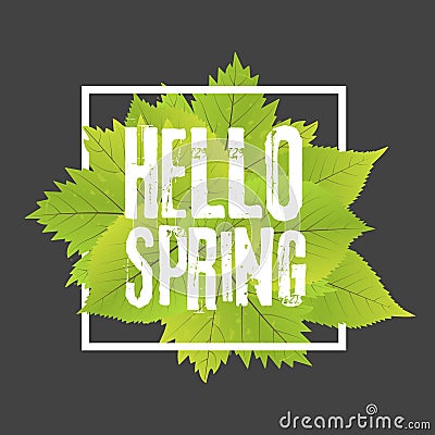 Hello spring. Lettering with hand drawn letters. Label and banner template with green leaves with frame illustration. Cartoon Illustration