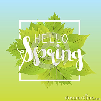 Hello spring. Lettering with hand drawn letters. Label and banner template with green leaves with frame illustration. Cartoon Illustration