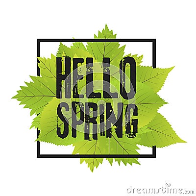 Hello spring. Lettering with hand drawn letters. Label and banner template with green leaves with frame illustration. Cartoon Illustration