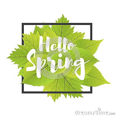 Hello spring. Lettering with hand drawn letters. Label and banner template with green leaves with frame illustration. Cartoon Illustration