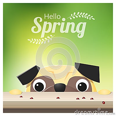 Hello Spring season background with pug dog looking at ladybugs Vector Illustration