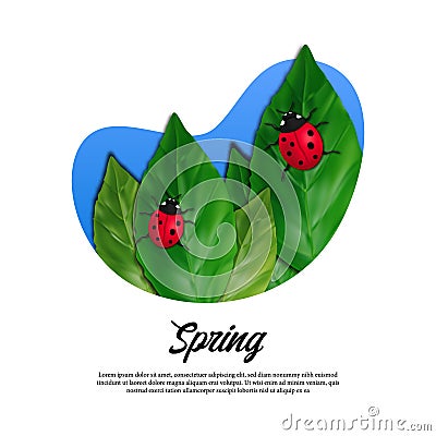 Hello spring season greeting card. leaves and red ladybug illustration concept Cartoon Illustration