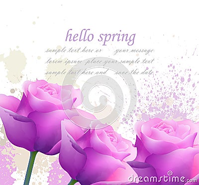 Hello spring violet roses and splash Vector. Romantic passional greeting card templates Vector Illustration