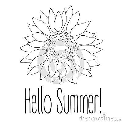 Hello Summer! Sunflower Vector illustration on white background Vector Illustration