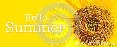 Hello Summer text and sunflower close-up details in yellow banner background Stock Photo