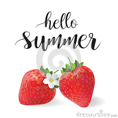 Hello summer vector illustration strawberries Vector Illustration