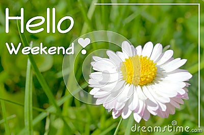 Hello weekend motivation quote poster Stock Photo