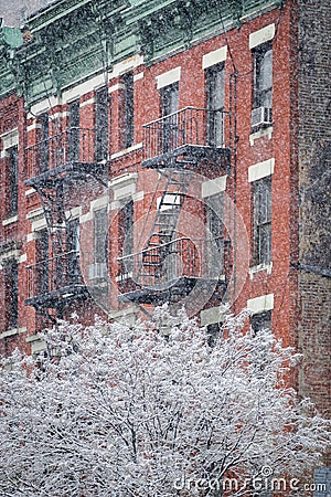 Hells Kitchen Building and Snow Covered Tree, Winter, New York Stock Photo