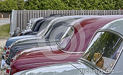 Mercedes benz Ponton W120 parked in the row, view of the rear of the classic cars Editorial Stock Photo