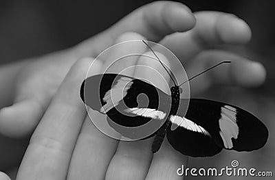 A helping hand with a butterfly Stock Photo