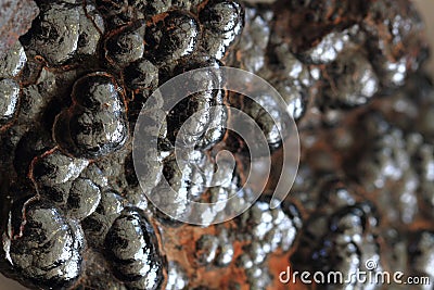 hematite mineral background Stock Photo