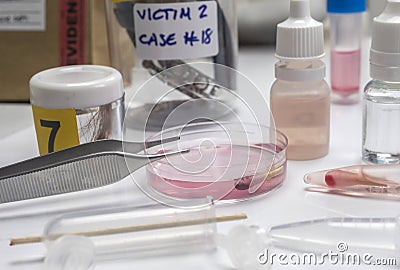 Hematological analysis with forensic test kit in a murder in a crime lab Stock Photo