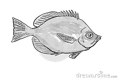 Hemitaurichthys thompson Thompson`s butterflyfish Hawaii Fish Cartoon Drawing Halftone Black and White Stock Photo