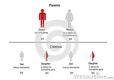 Hemophilia inheritance Stock Photo