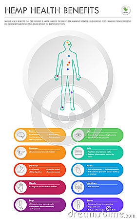 Hemp Health Benefits vertical business infographic Cartoon Illustration